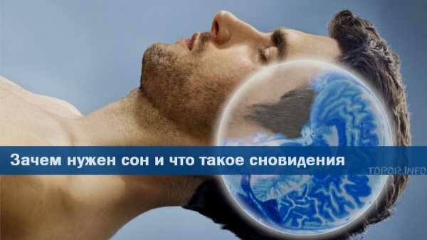 Что означает когда снится сон Что означает когда снится сон
